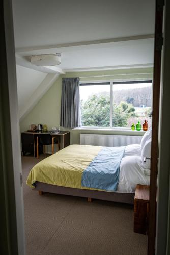 a bedroom with a bed and a large window at Landhuis Hotel Restaurant Rikus in Eext