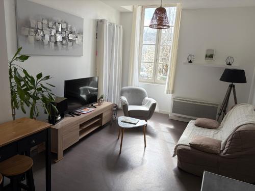 a living room with a couch and a tv at centre Pau proche Chateau et gare 33 m2 in Pau