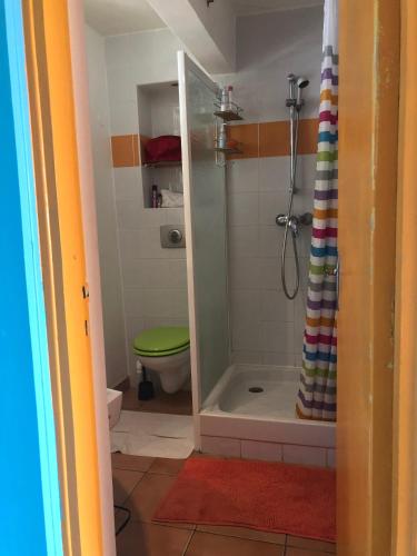 a bathroom with a shower with a green toilet at Ti' Cocon Caritan in Sainte-Anne