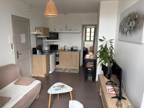 a room with a kitchen and a living room at centre Pau proche Chateau et gare 33 m2 in Pau