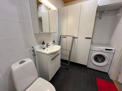 a bathroom with a toilet and a sink and a washing machine at Apartment Annalantie in Pyhäjoki