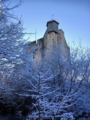a tower with a cross on top of it with trees at Domaine de la Ferté Clairbois in Sainte-Suzanne
