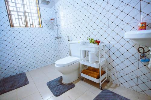 a bathroom with a toilet and a sink at Tunji Homestay in Arusha