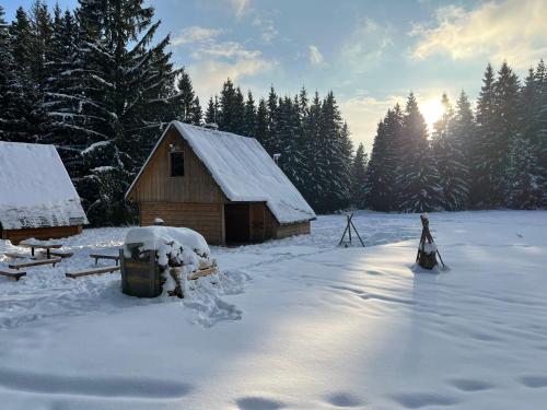 a cabin in a snow covered field with trees at Pod Horou a za Potokom, Podbanské in Pribylina