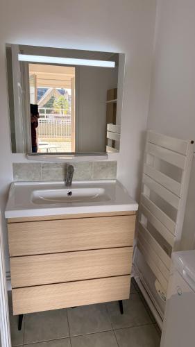 a bathroom with a sink and a mirror at Appartement centre ville et terrasse in Brive-la-Gaillarde