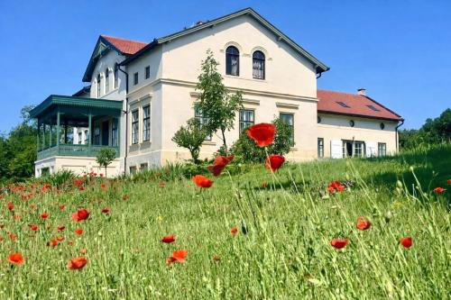 10-Minute Walk to Lake Balaton - Exclusive Castle