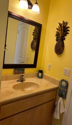 a bathroom with a sink and a mirror and pineapple at Pura Vida in Navarre