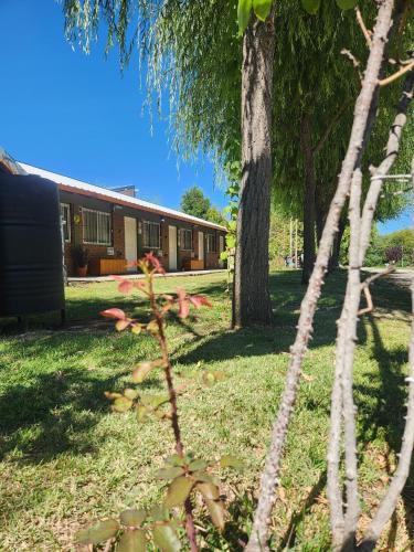 a view of a building with trees in the yard at Los Lúpulos Departamentos Privados in El Bolsón