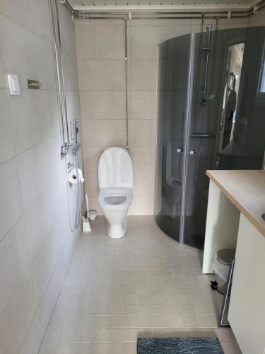 a bathroom with a toilet and a shower at Villa Furuviken in Kristinestad