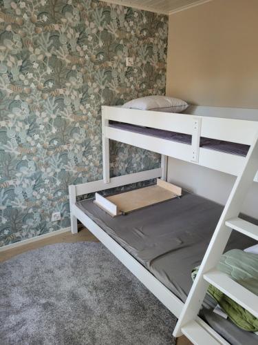 a bunk bed in a room with a wall at Villa Furuviken in Kristinestad
