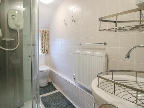 a bathroom with a shower and a sink and a toilet at Cariad Cottage in Ludlow