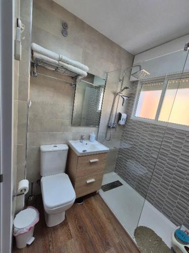 a bathroom with a toilet and a sink and a shower at APARTAMENTO ALECRIN Padrón in Padrón