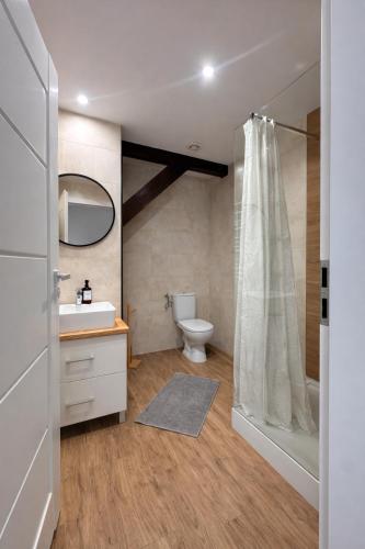 a bathroom with a toilet and a sink and a shower at Apartamenty Nad Pilicą - Klimatyzacja - Sulejów in Sulejów