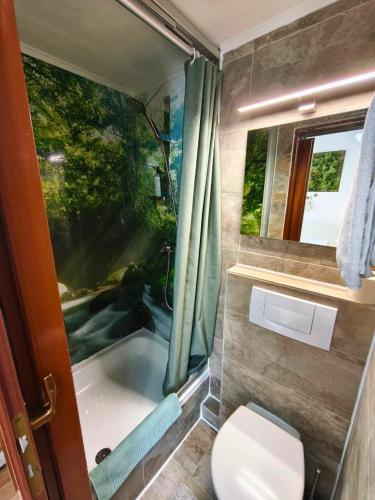a bathroom with a toilet and a bath tub at Hotel Pfaff in Triberg