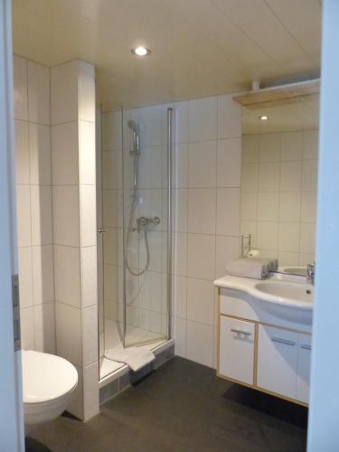 a bathroom with a shower and a toilet and a sink at Hotel Zum Schwarzen Walfisch in Bad Säckingen