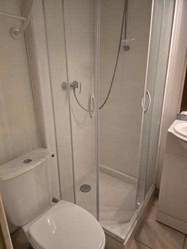 a bathroom with a shower and a toilet at Studio Albert 1er in Oye-Plage
