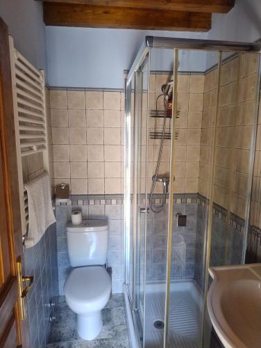 a bathroom with a toilet and a shower and a sink at Casa rural Angelita in Cangas de Onís