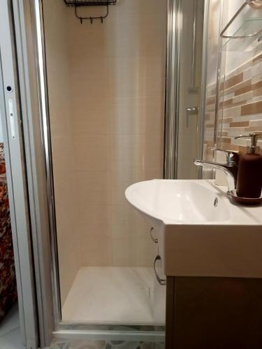 a bathroom with a sink and a shower at Chalet Relax&Salute in Pianosinatico