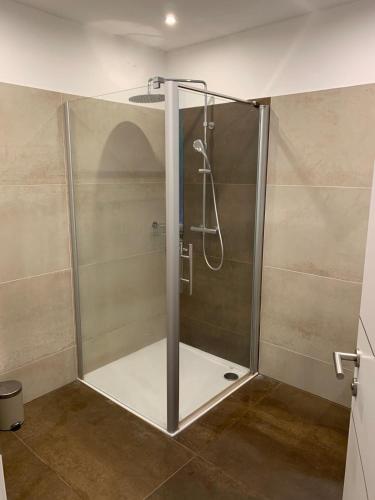 a shower with a glass door in a bathroom at Ferienhaus Krenn in Bad Gleichenberg