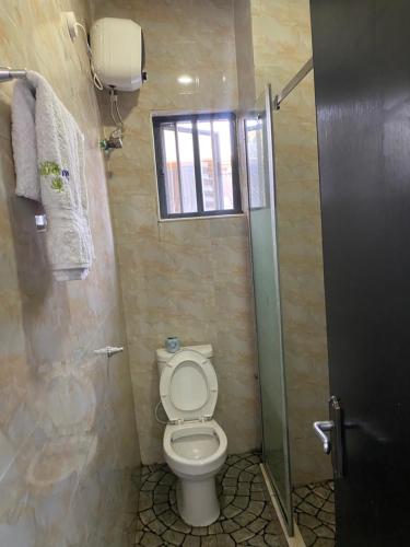 a bathroom with a toilet and a shower at Bluespring luxury hotel in Elu