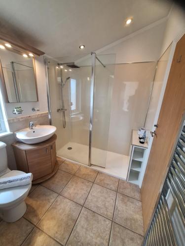 a bathroom with a shower and a toilet and a sink at Bayview Luxury Lodge in Cockburnspath