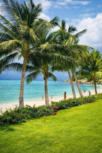 a group of palm trees on a beach at SAMUI BOHO Family Villa 4BR with Pool Renovated 2026 in Nathon Bay