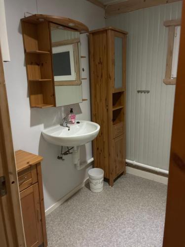 a bathroom with a white sink and a mirror at Sætervika Floating home in Hosen