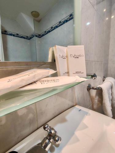 a bathroom with a sink and a shelf with books at Hotel Acebo & Natura in Castiello de Jaca