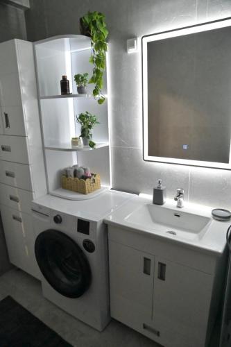 a bathroom with a washing machine and a sink at Stan na dan Pancevo 3 in Pančevo