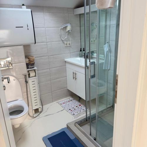 a bathroom with a glass shower and a toilet at AM Una Lux House in Bihać