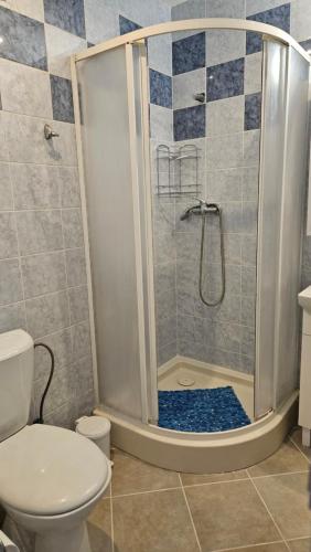 a bathroom with a shower with a toilet and a sink at Apartmán Centrum in Komárno