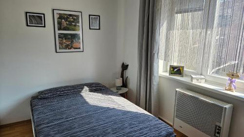 a bedroom with a bed and a window at Apartmán Centrum in Komárno