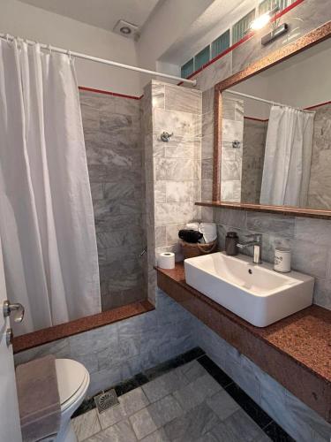 a bathroom with a sink and a toilet and a mirror at Fiosal Apartments 1 in Skiathos