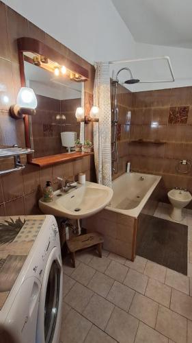 a bathroom with a tub and a sink and a washing machine at La dimora del lago in Meina