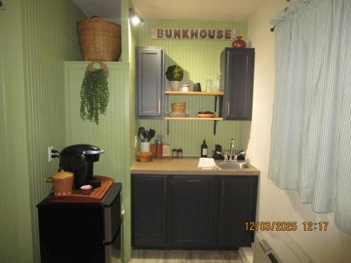 a kitchen with green walls and a sink and a counter at Bunkhouse on Bomoseen in Castleton