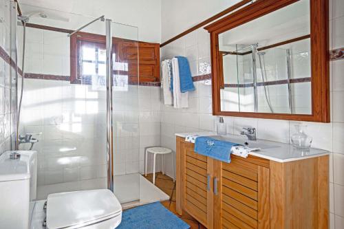 a bathroom with a shower and a sink and a toilet at Casa Rural Milagrosa in Valsequillo