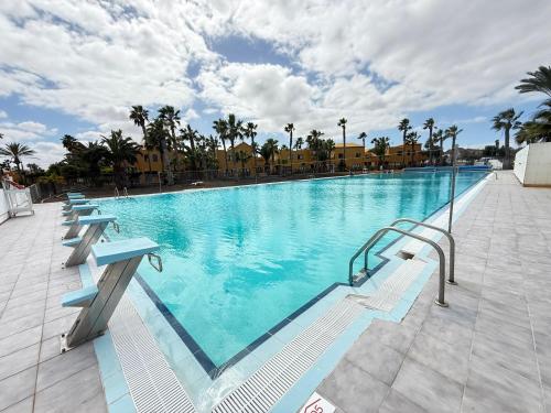 BLU Papagayo