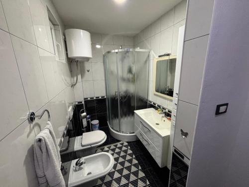 a bathroom with a shower and a sink at The Olive Tree Apartment in Ljubuški