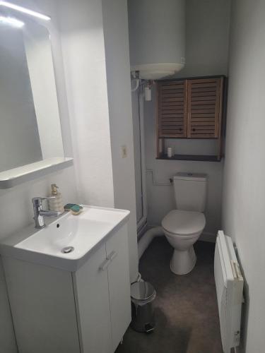a bathroom with a white sink and a toilet at appartement proche gare SNCF in Tours