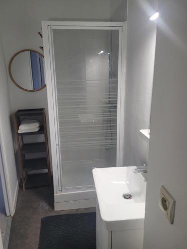 a bathroom with a shower and a white sink at appartement proche gare SNCF in Tours