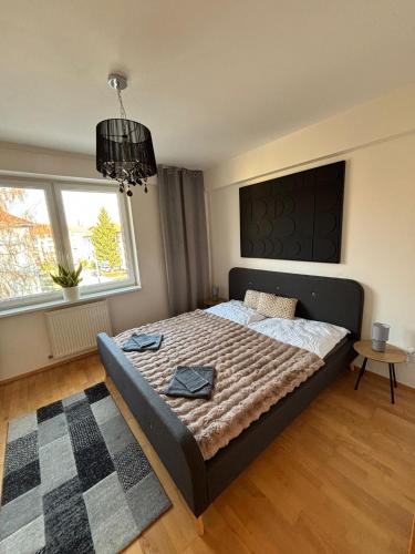 Domus Apartment