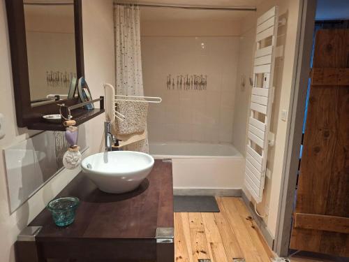 a bathroom with a sink and a bath tub at La Grange Aux Mille Feuilles in Castres