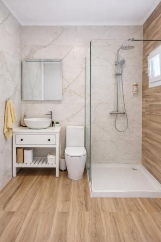 a bathroom with a shower and a toilet and a sink at Douro Garden in Resende
