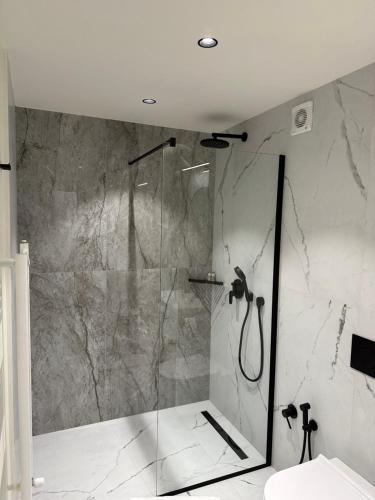 a bathroom with a shower with a glass door at Deluxe Aparthotel Central2 in Zalău