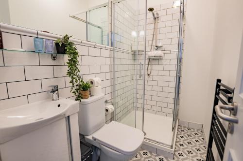 a bathroom with a shower and a toilet and a sink at Superb Marina Studio- Sleeps 3 in Dublin