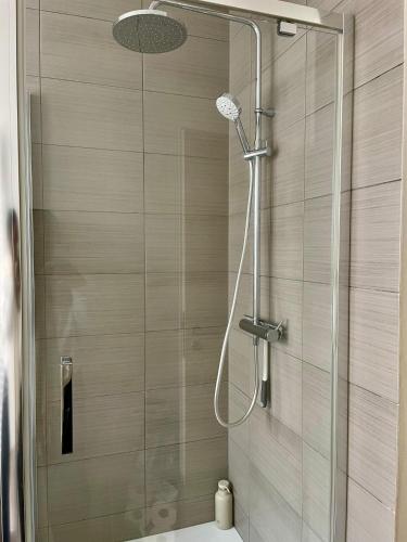 a shower with a glass door in a bathroom at Au Petit Colombage - Cosy au centre de Mulhouse - Gare proche in Mulhouse