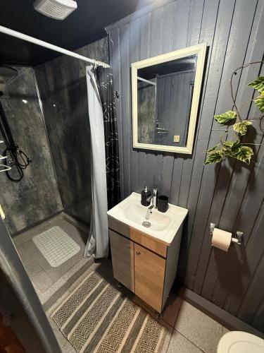 un bagno con lavandino e doccia di Hostal Suomi a Los Ángeles