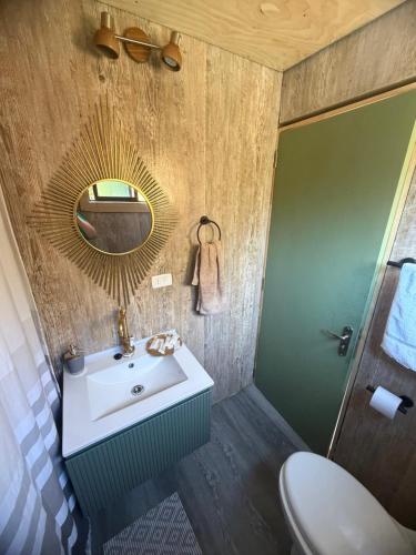 a bathroom with a sink and a mirror at Tiny House A & M Chaiten in Chaitén