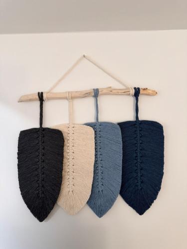 a group of four feathers hanging on a wall at Cozy and Stylish Private Basement Suite in Winnipeg