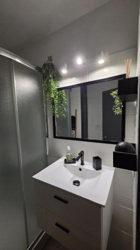 a bathroom with a white sink and a mirror at Le Maloha in Le Gosier
